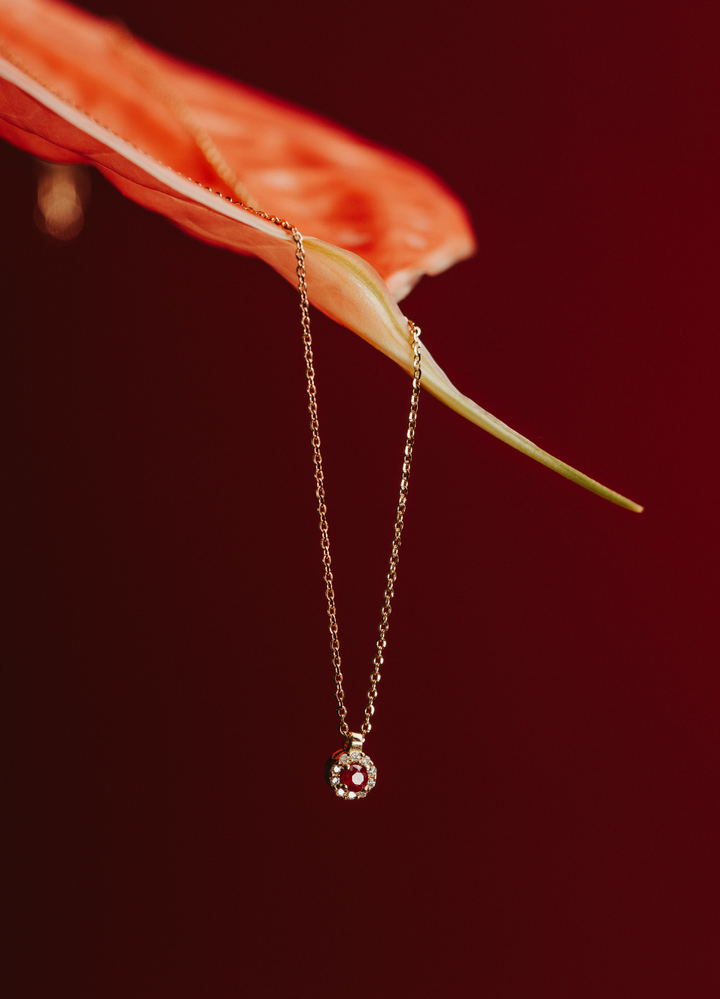 COLLANA TONDA IN ORO 18 KT CON DIAMANTI E RUBINO