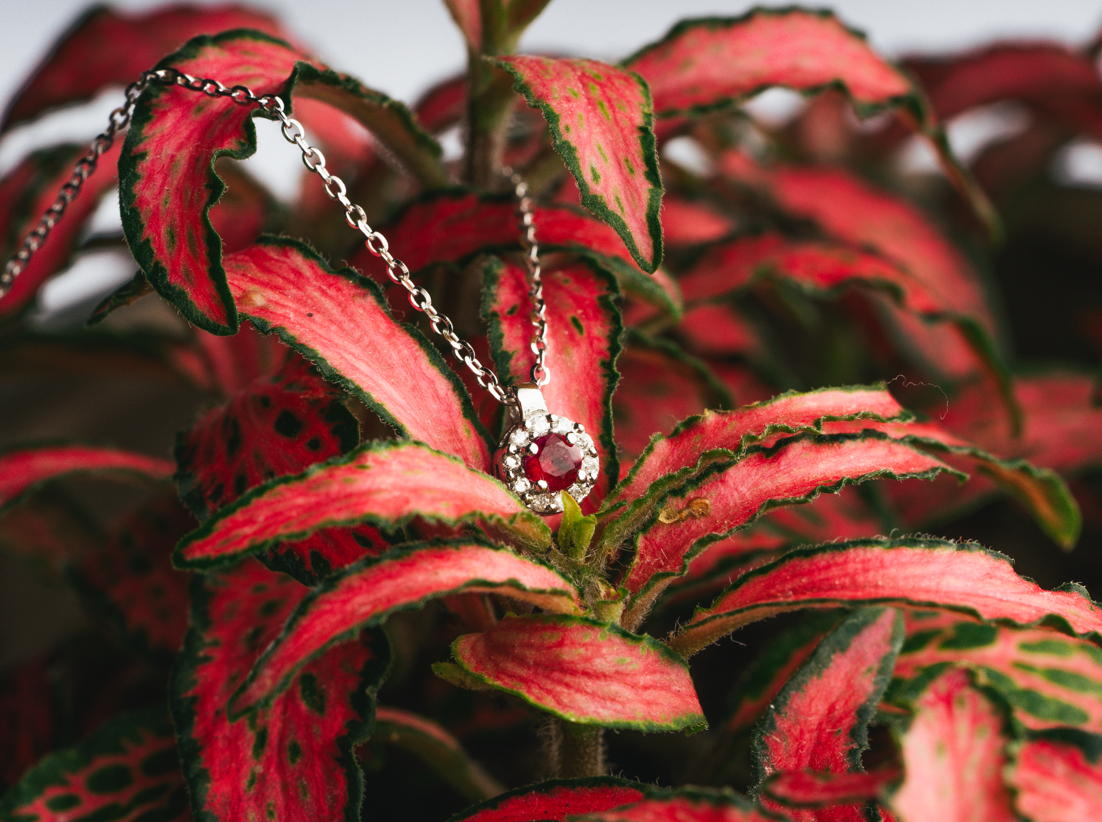 COLLANA TONDA IN ORO 18 KT CON DIAMANTI E RUBINO