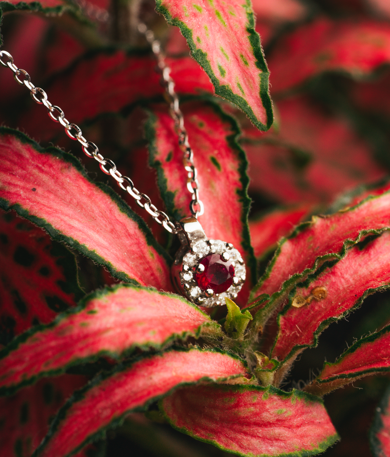 COLLANA TONDA IN ORO 18 KT CON DIAMANTI E RUBINO