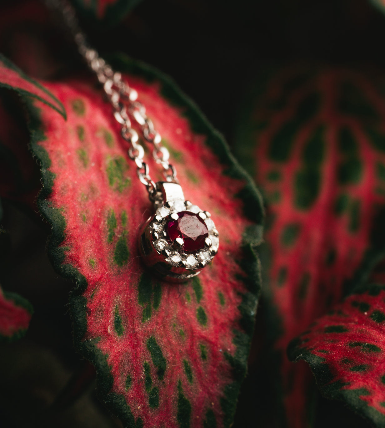 COLLANA TONDA IN ORO 18 KT CON DIAMANTI E RUBINO