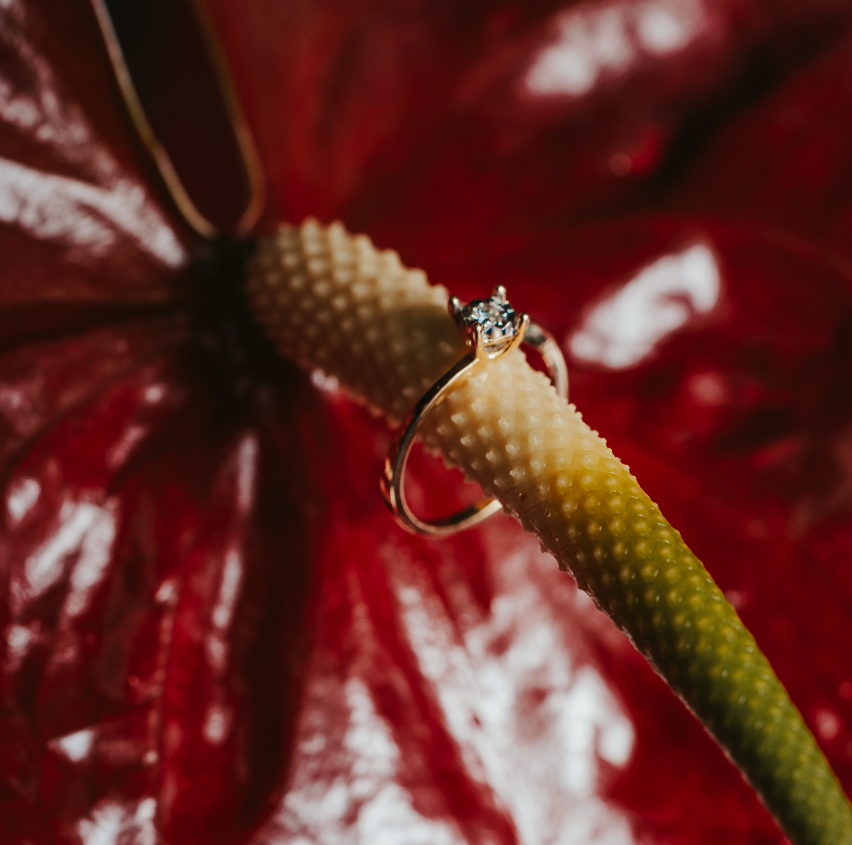 ANELLO SOLITARIO IN ORO GIALLO 18 KT CON DIAMANTE